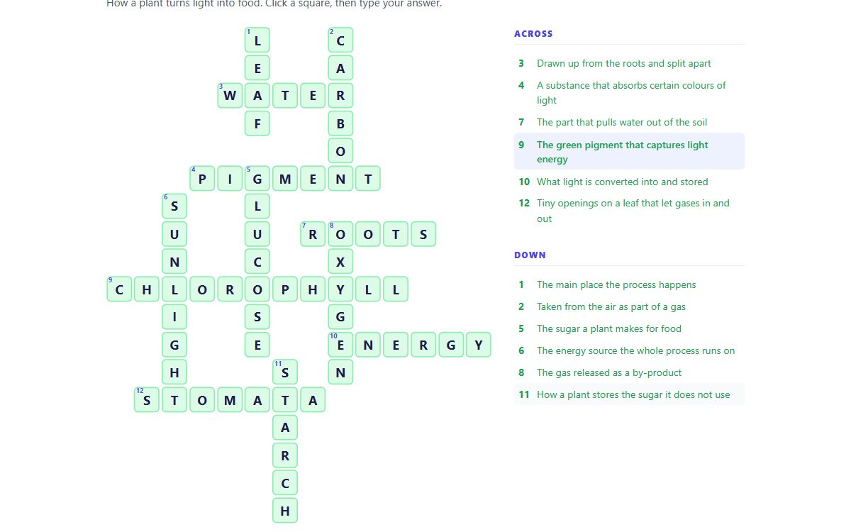 Crossword preview